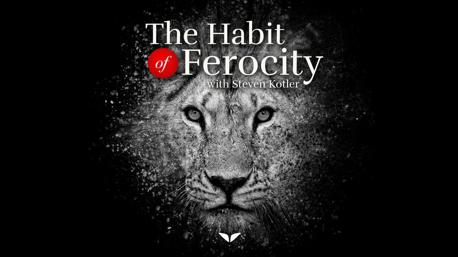 The habit of Ferocity by Steven Kotler - Course Review